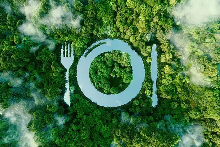 How Restaurants are Being More Sustainable—And You Can Too