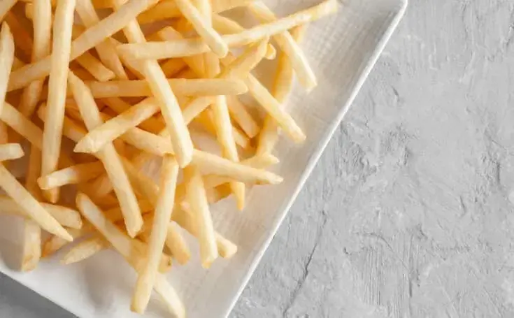 Plate of straight cut french fries