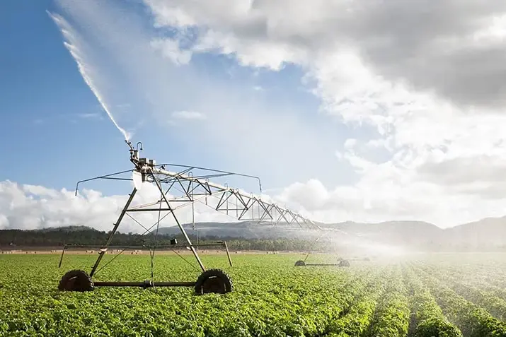 Sustainably Simplot: Reducing Our Water Consumption in a Thirsty World