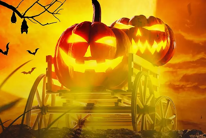 Why Are Pumpkins Used During Halloween?