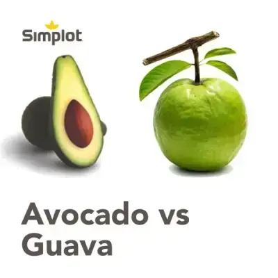 avocado versus guava