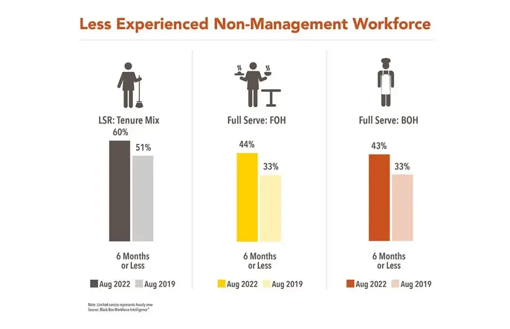 Less experienced non-management- workforce graphic